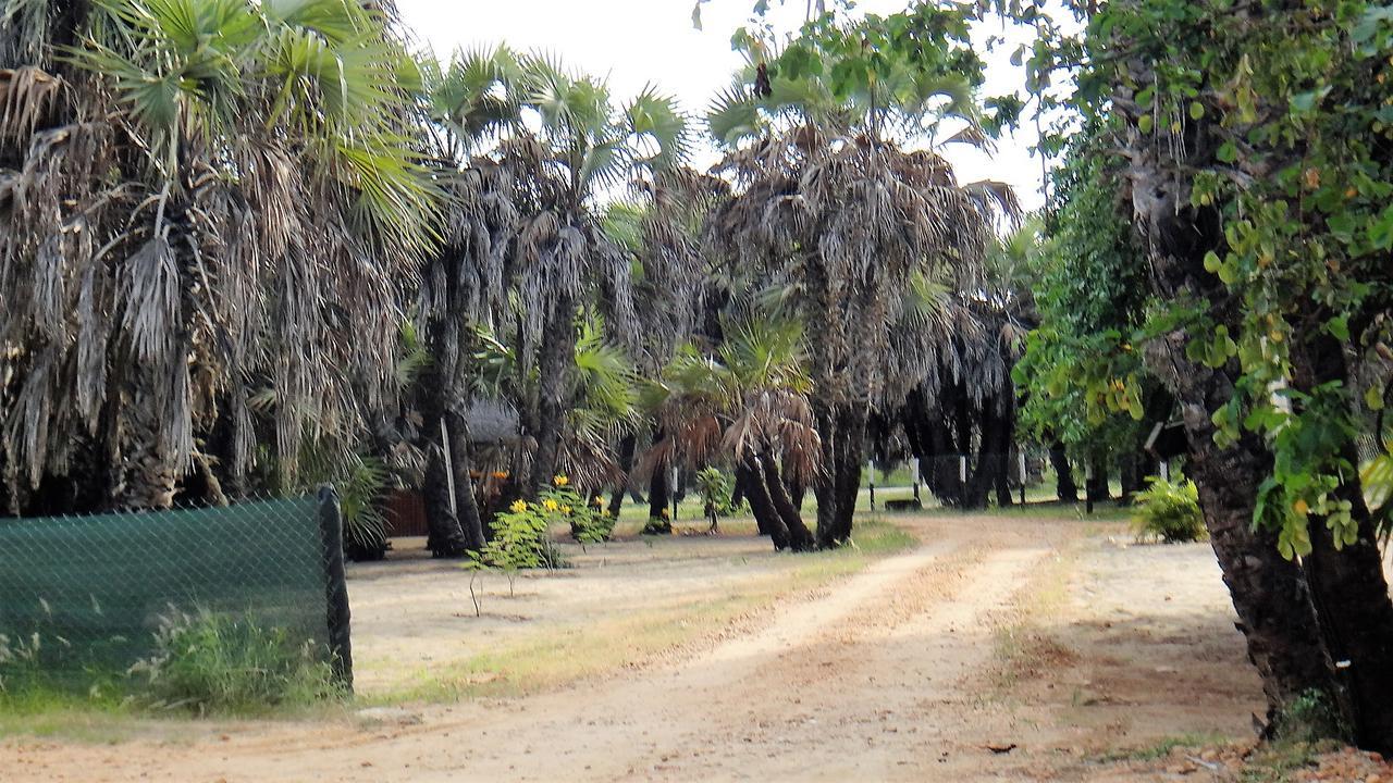 Paridiseos Resort Barra Do Dande Barra do Dande Ngoại thất bức ảnh